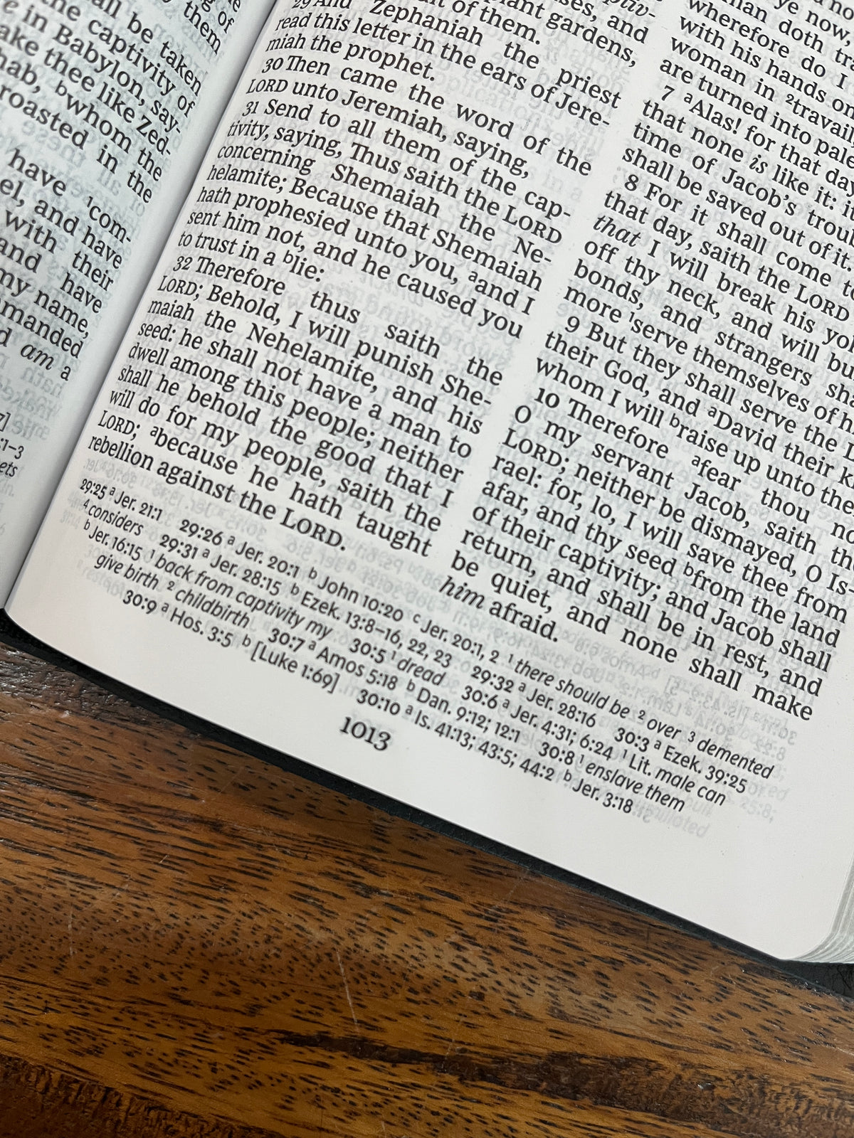 KJV Personal Size Giant Print Reference Bible (Leathersoft, Black)