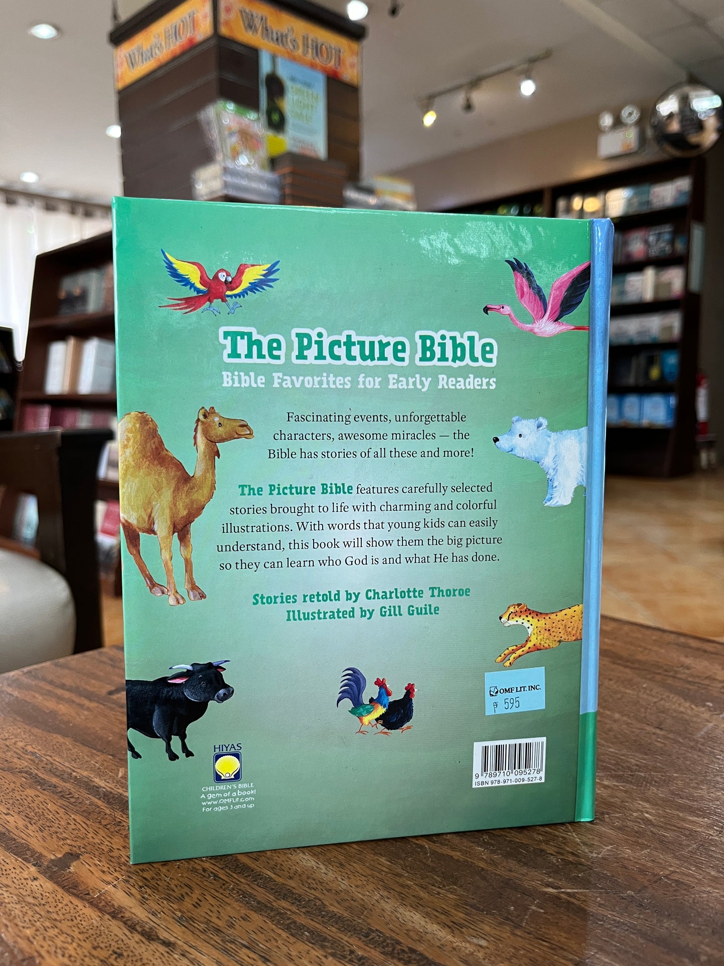 The Picture Bible