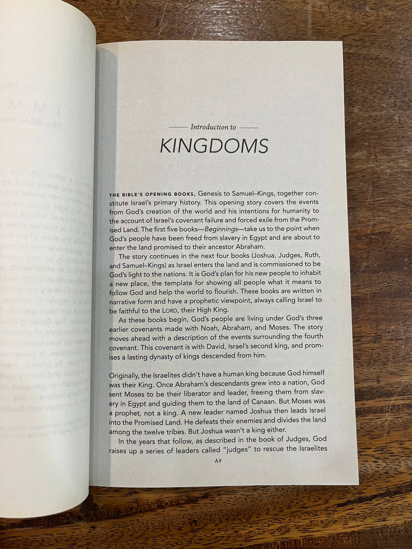 Immerse: Kingdoms (Paperback) [SALE ITEM]