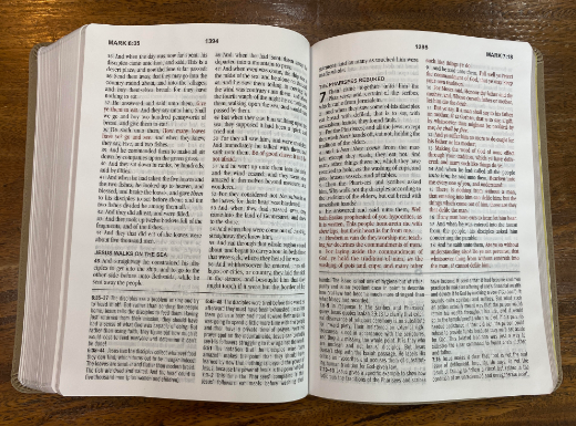 KJV Large-Print Study Bible--imitation leather brown/olive