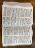 KJV Large-Print Study Bible--imitation leather brown/olive