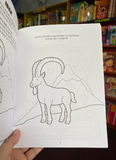 Bible Animals Activity Book