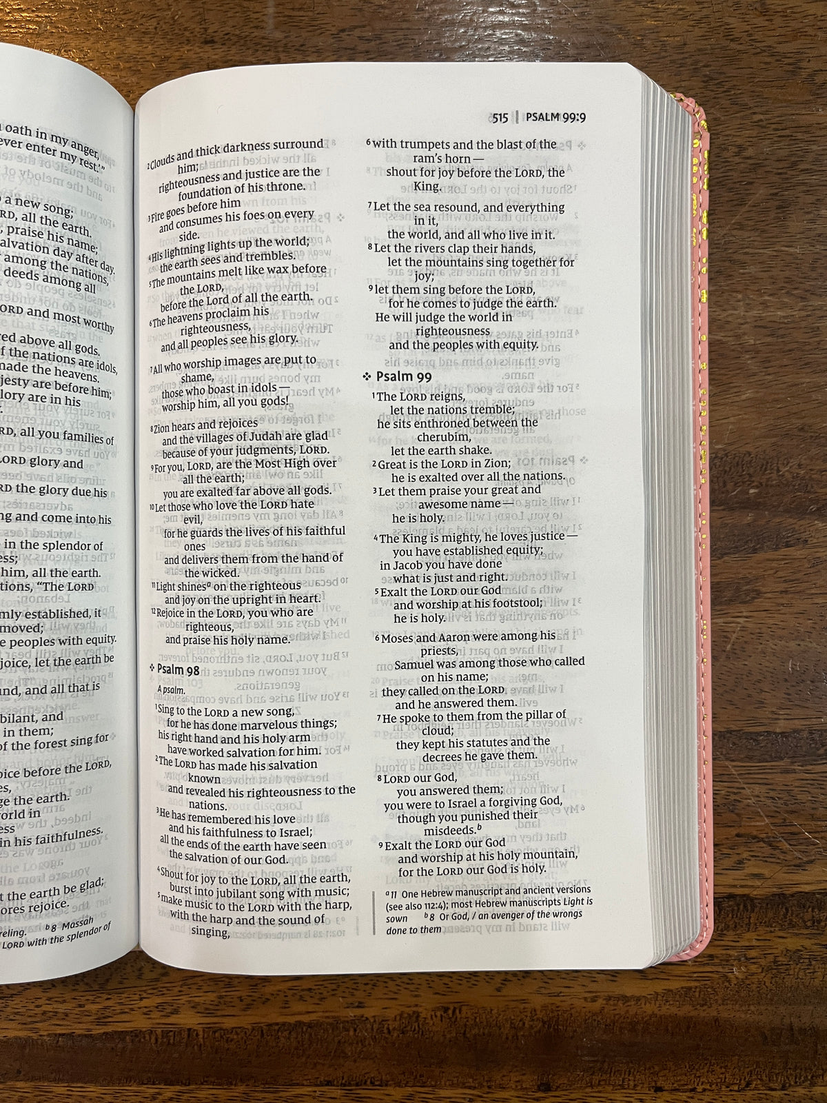 NIV Thinline Bible for Teens, Comfort Print--soft leather-look, pink (red letter)