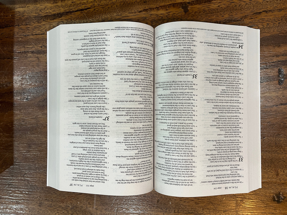 NLT Gift & Award Economy Bible
