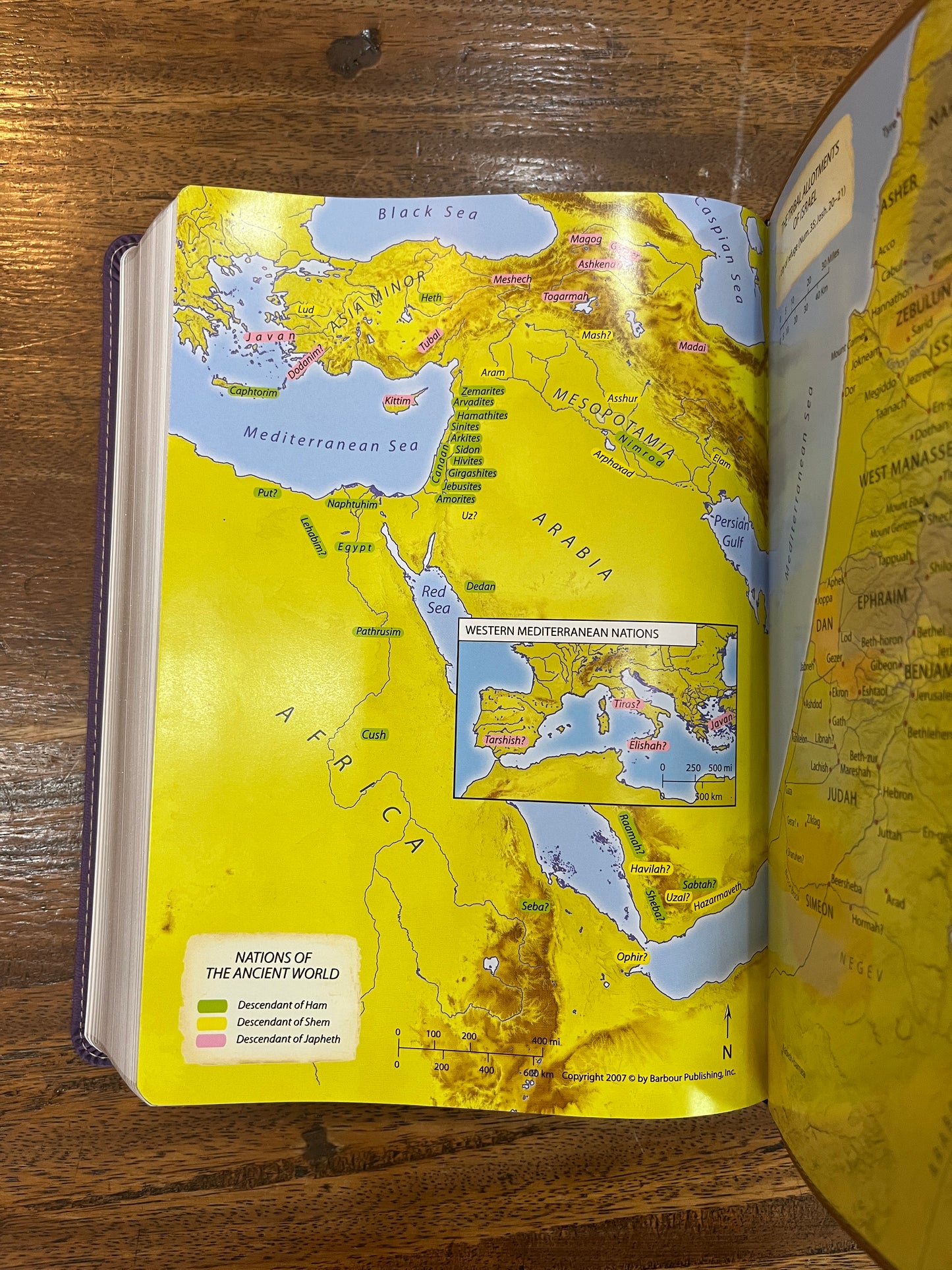 The KJV Study Bible, Large Print [Violet Floret]