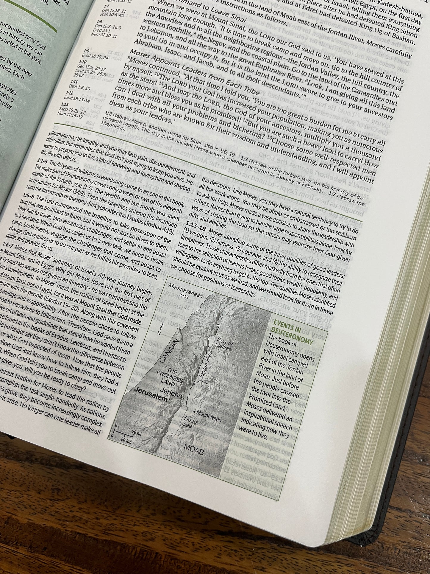 NLT Life Application Study Bible, Third Edition Dark Brown/Brown