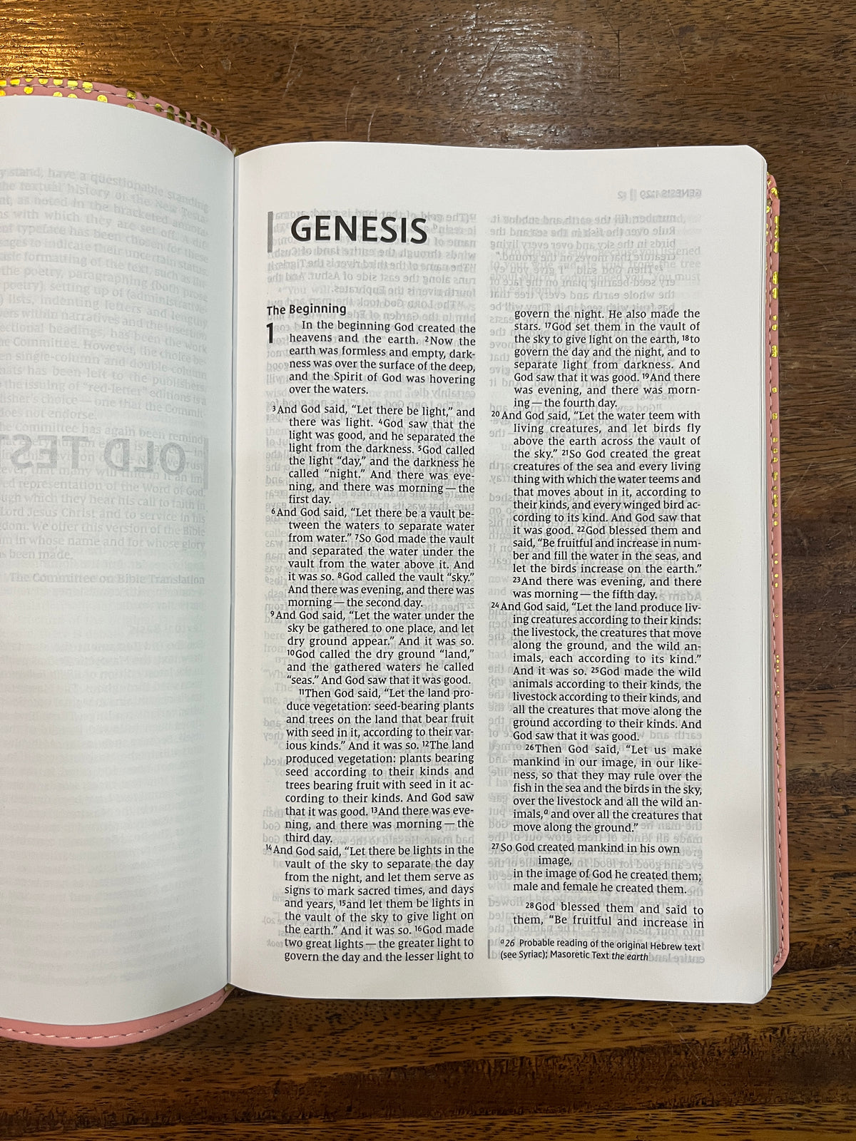 NIV Thinline Bible for Teens, Comfort Print--soft leather-look, pink (red letter)