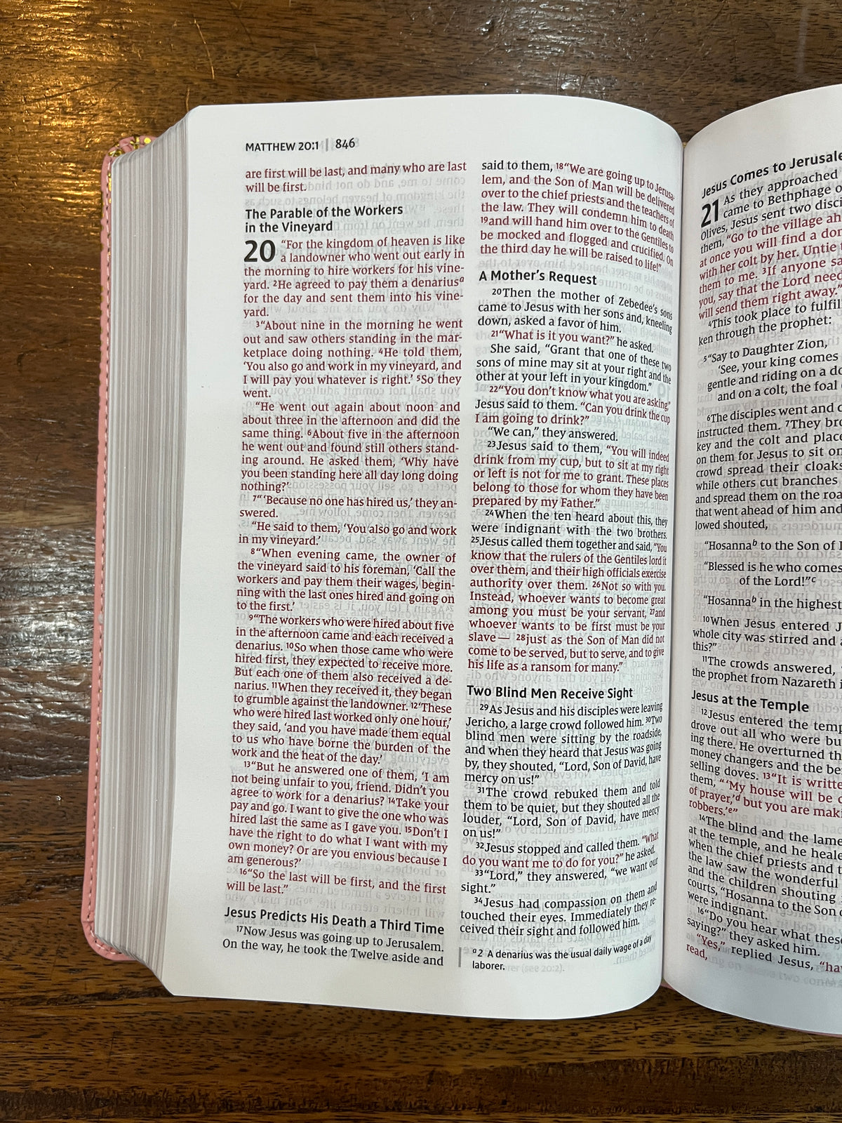 NIV Thinline Bible for Teens, Comfort Print--soft leather-look, pink (red letter)