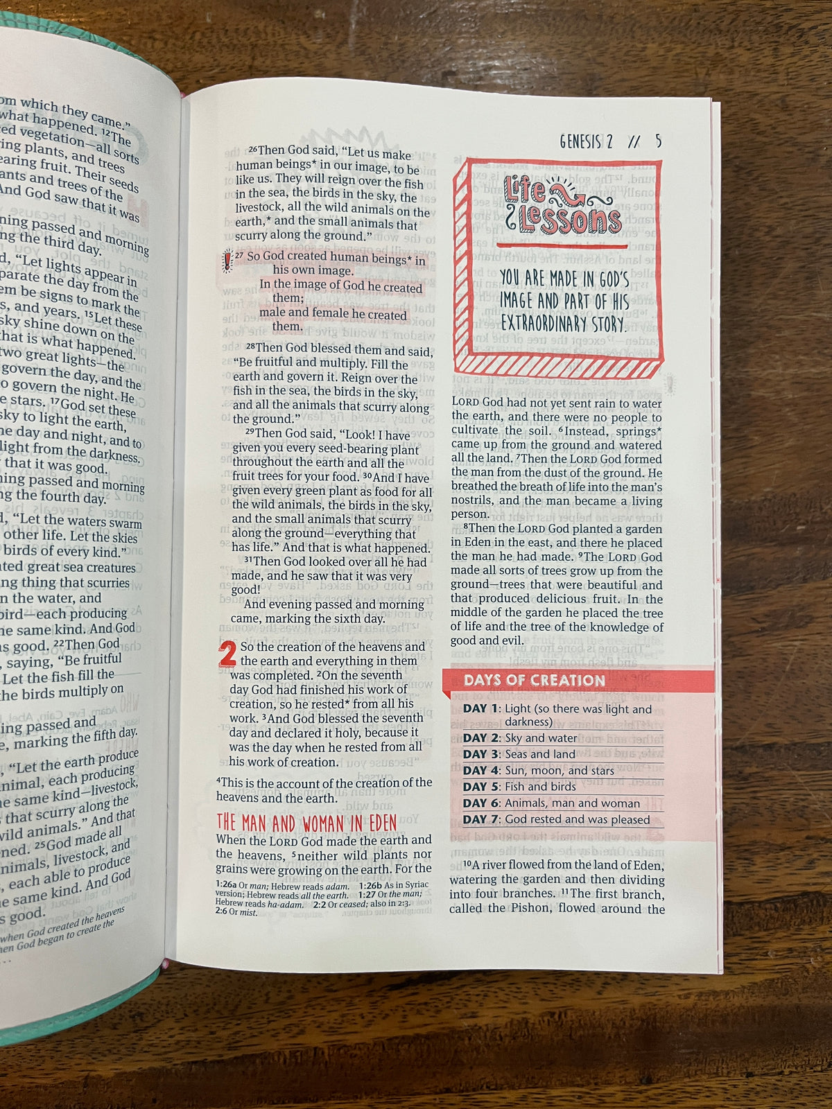 NLT Girls Life Application Study Bible (LeatherLike, Teal/Pink Flowers)