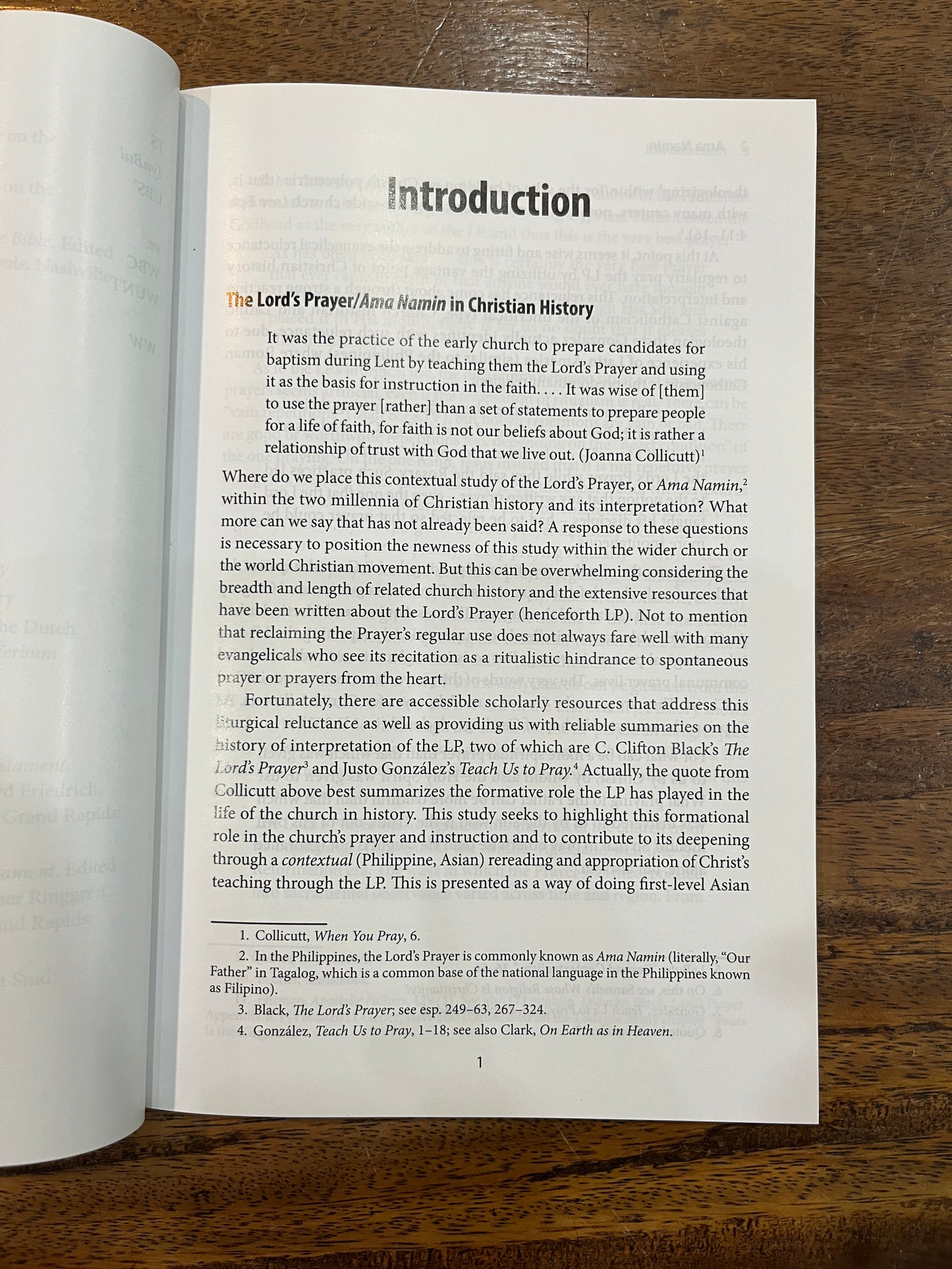 Ama Namin: The Lord’s Prayer in Philippine Life and Spirituality