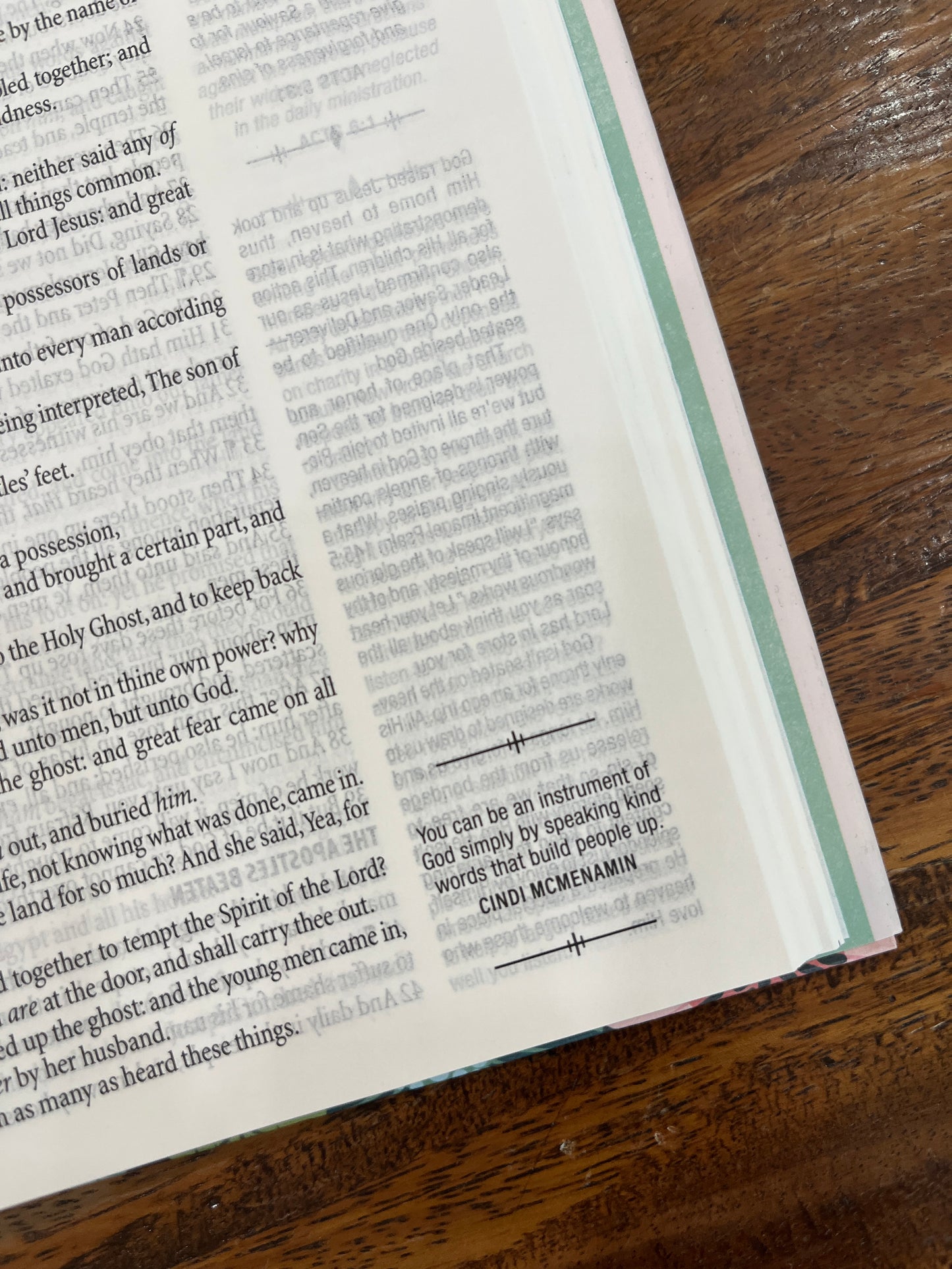 KJV Daily Wisdom for Teen Girls Devotional Bible