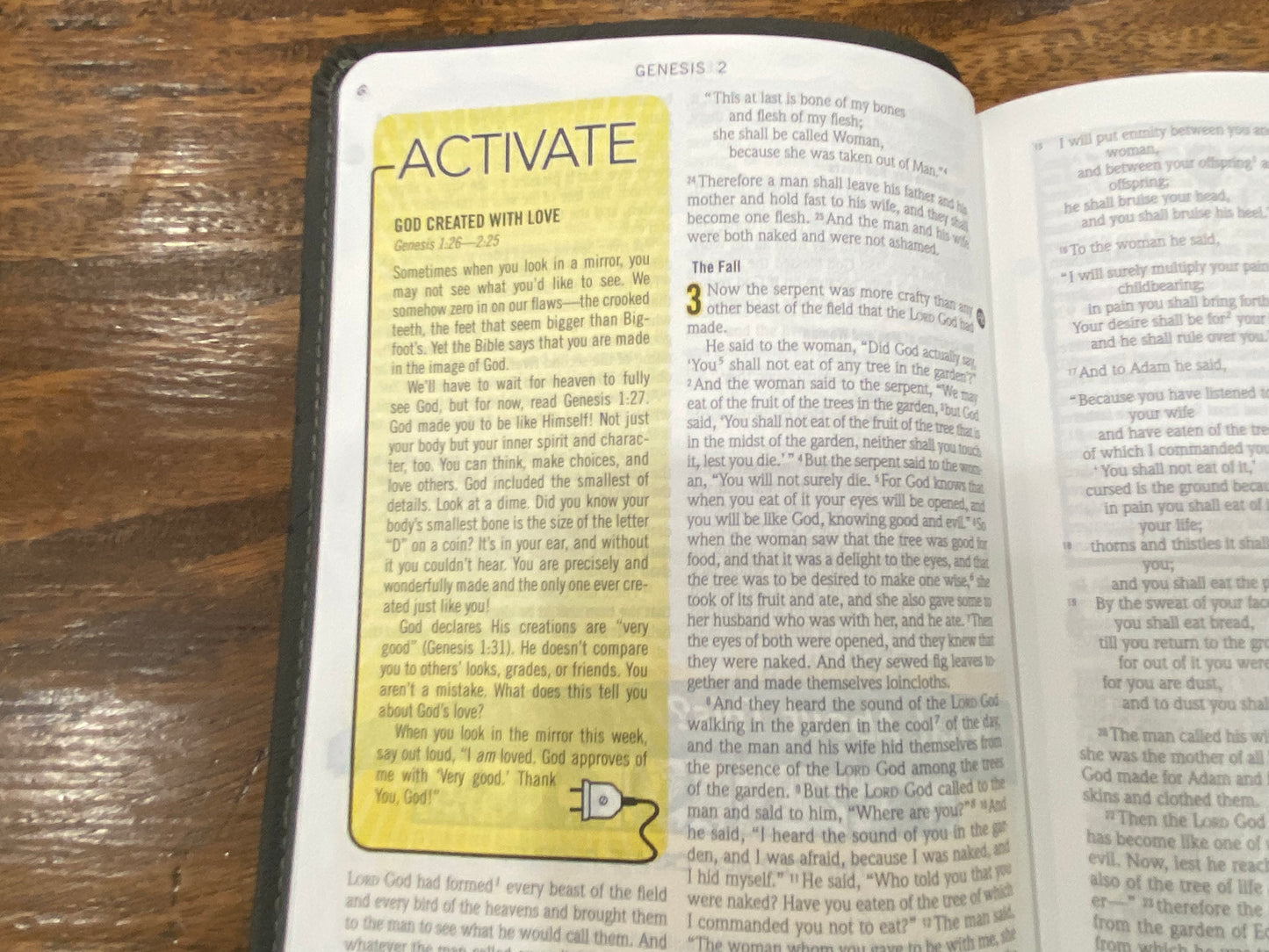 ESV Action Study Bible (Imitation Leather, Gray)
