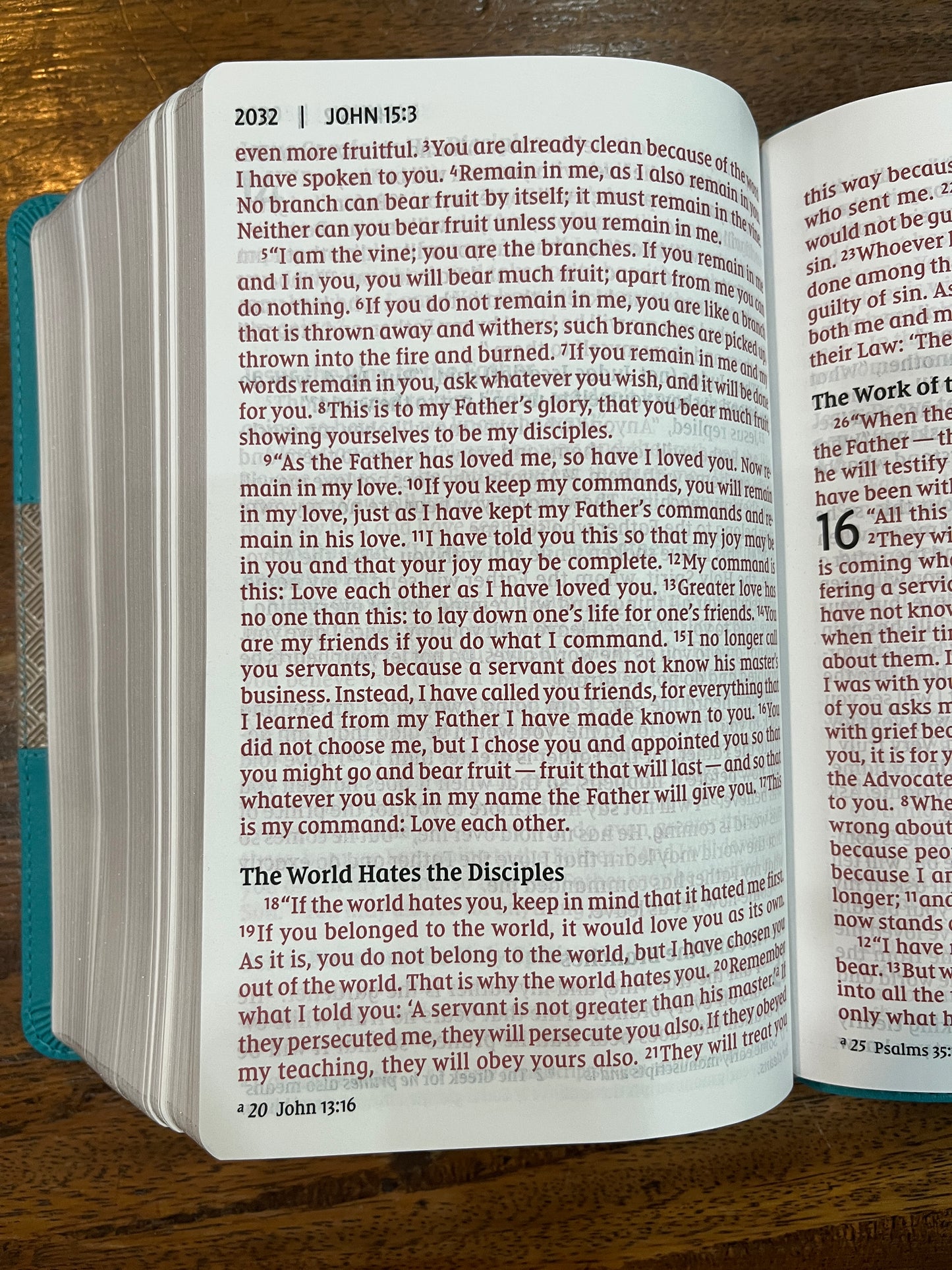 NIV Giant-Print Compact Bible Teal