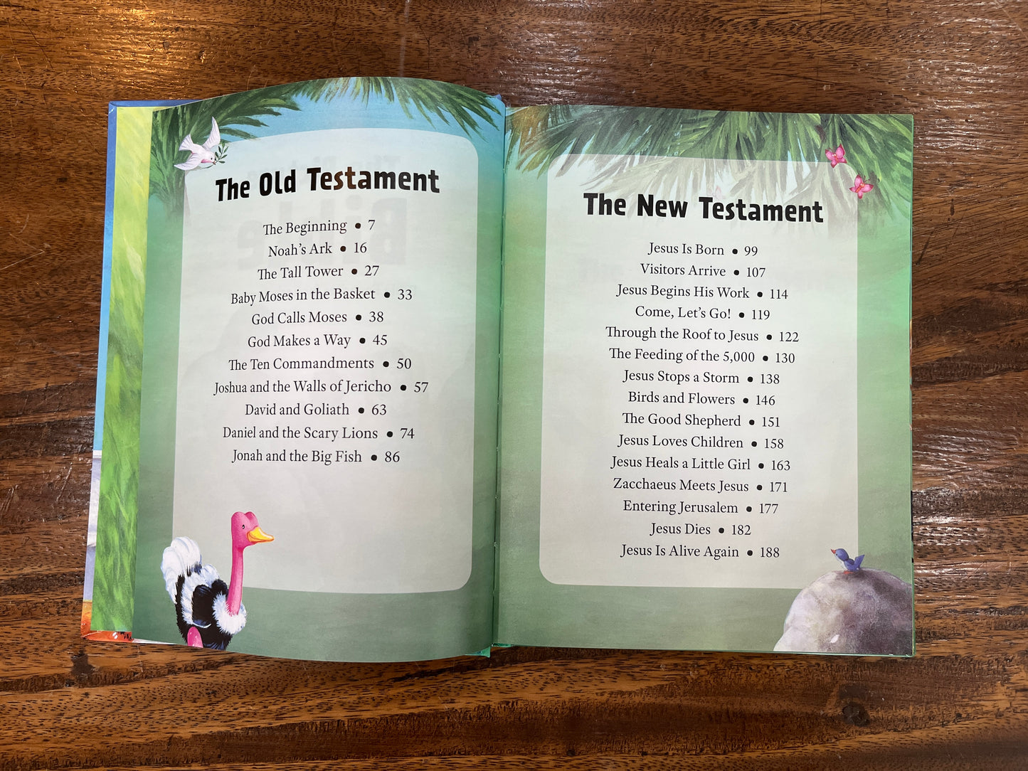 The Picture Bible