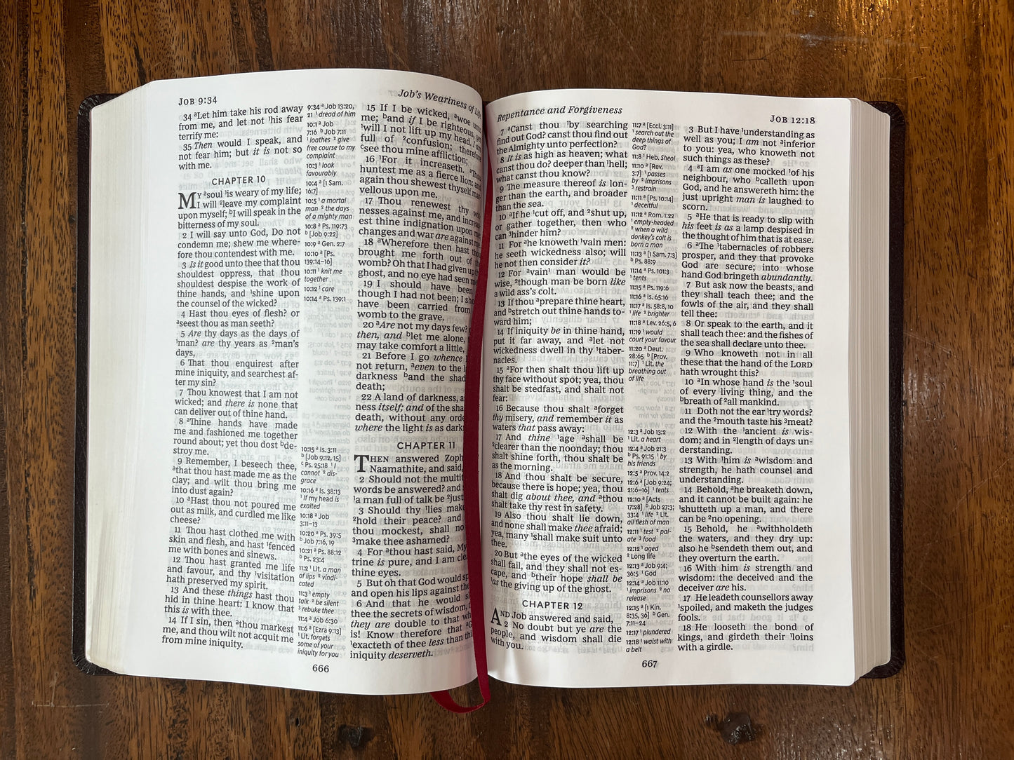 KJV Reference Bible, Giant Print, Burgundy Bonded Leather