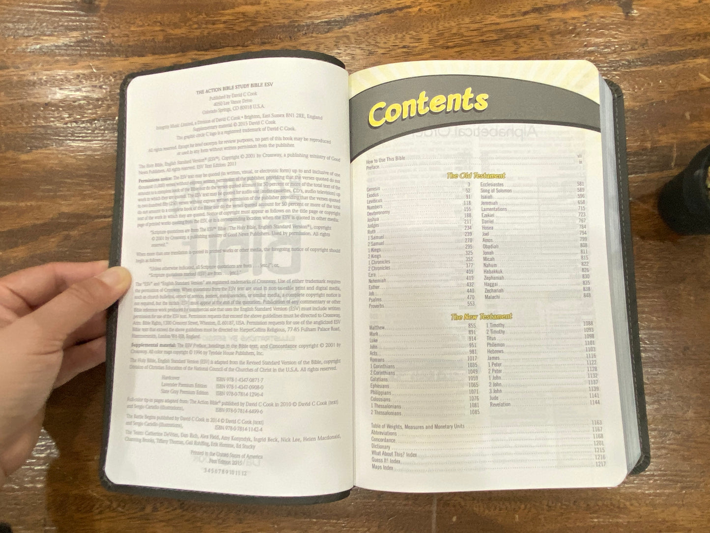 ESV Action Study Bible (Imitation Leather, Gray)
