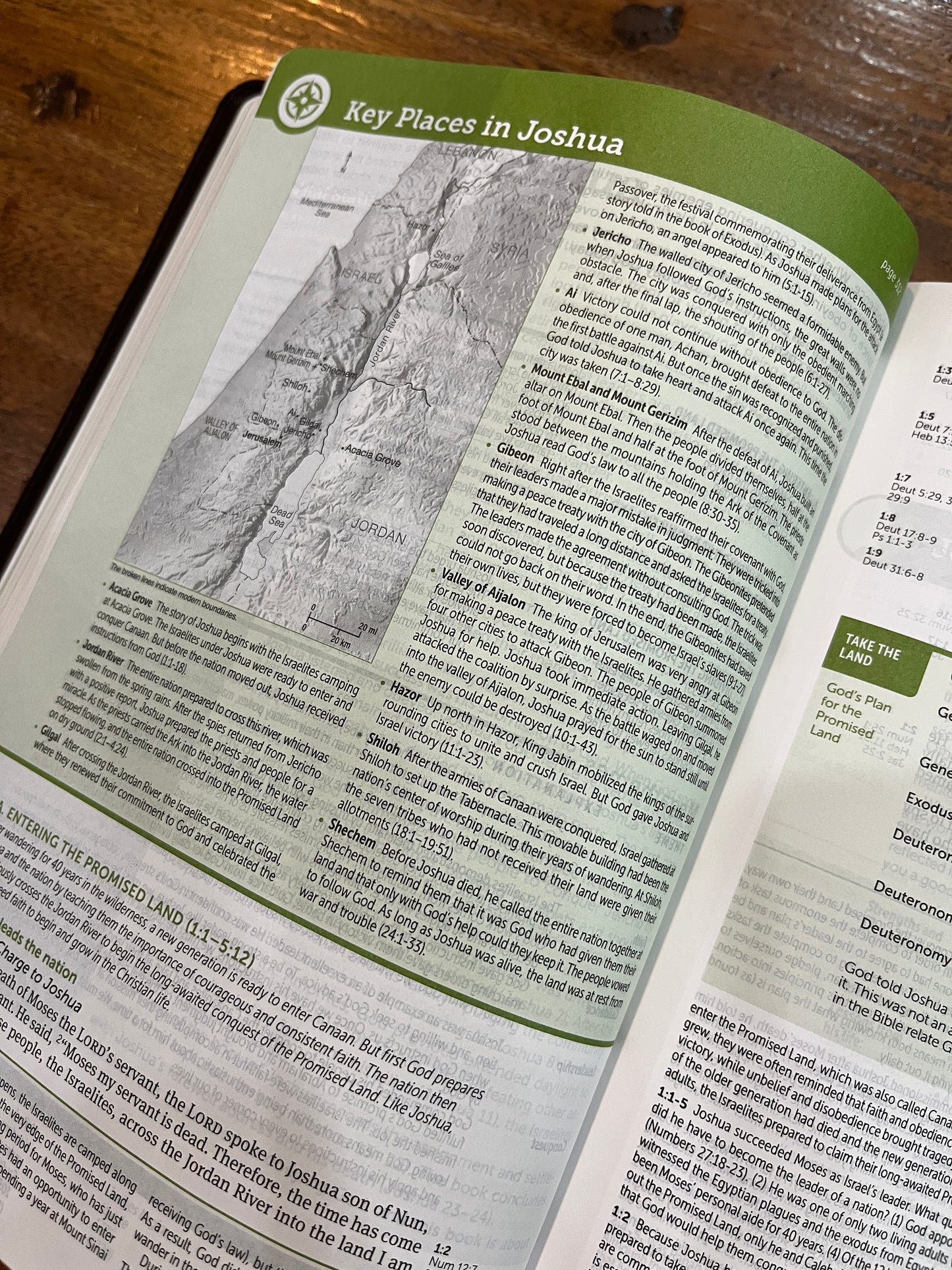 NLT Life Application Study Bible, Third Edition Dark Brown/Brown