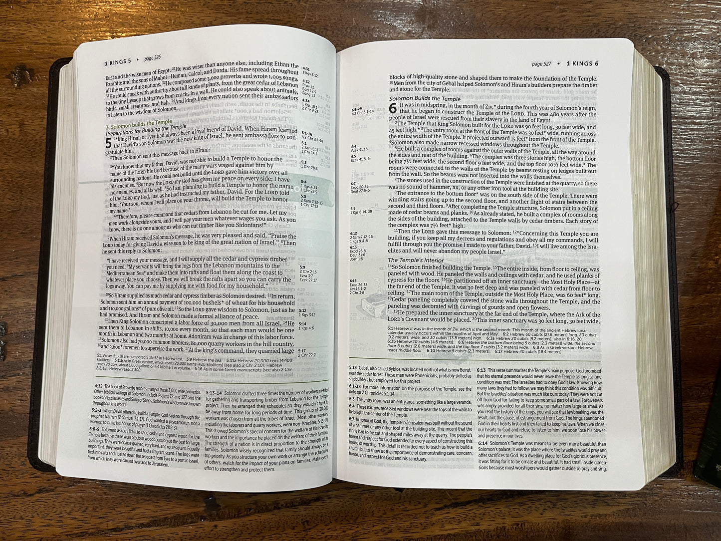 NLT Life Application Study Bible, Third Edition Dark Brown/Brown