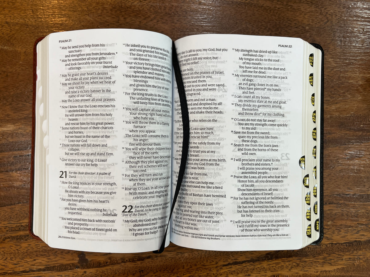 NLT Large Print Compact Edition, Black/Tan Leatherlike, Thumb-Indexed
