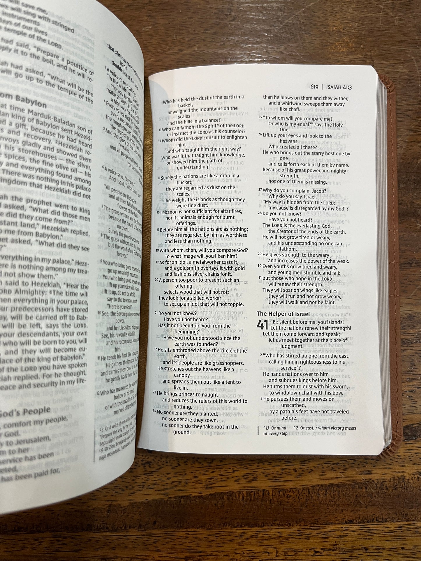 NIV, Thinline Bible, Compact, Leathersoft, Brown, Red Letter, Comfort Print