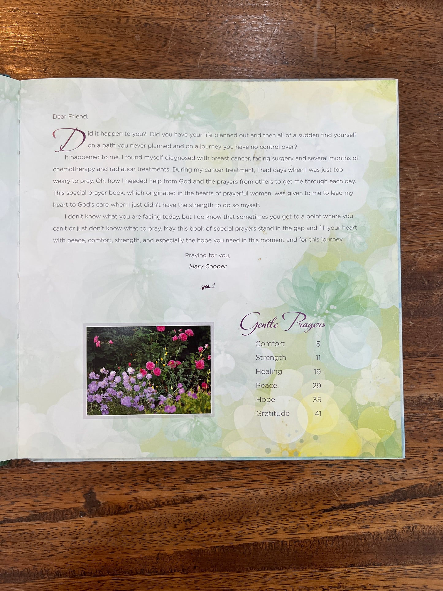 Gentle Prayers for Hope and Healing (Hardcover)