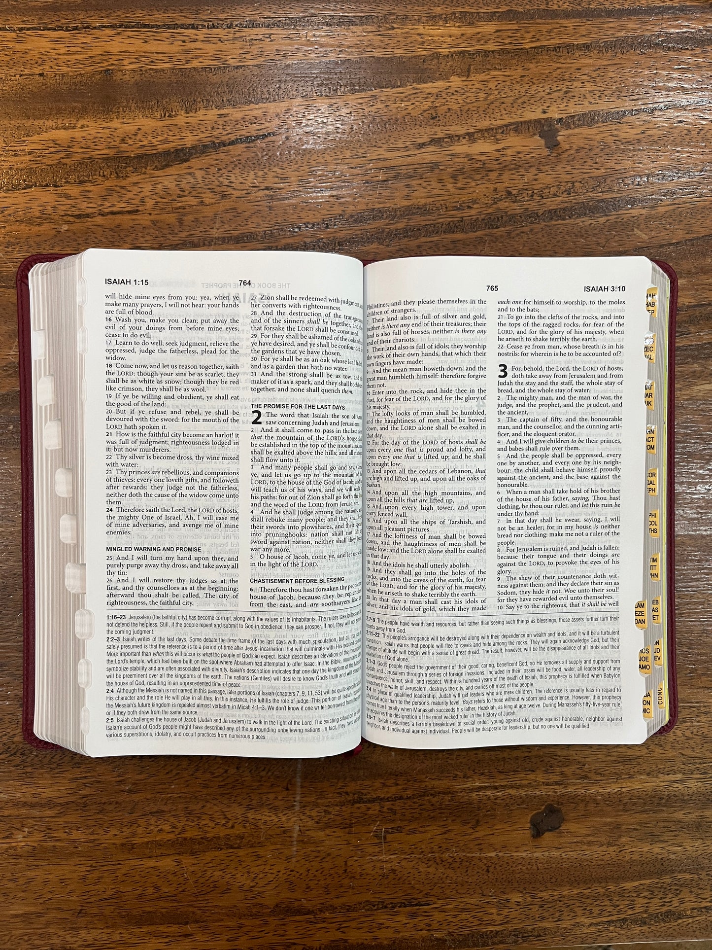 The KJV Study Bible, Indexed [Crimson Bouquet]
