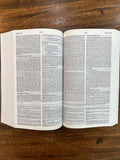 ESV Concise Study Bible, Economy Edition