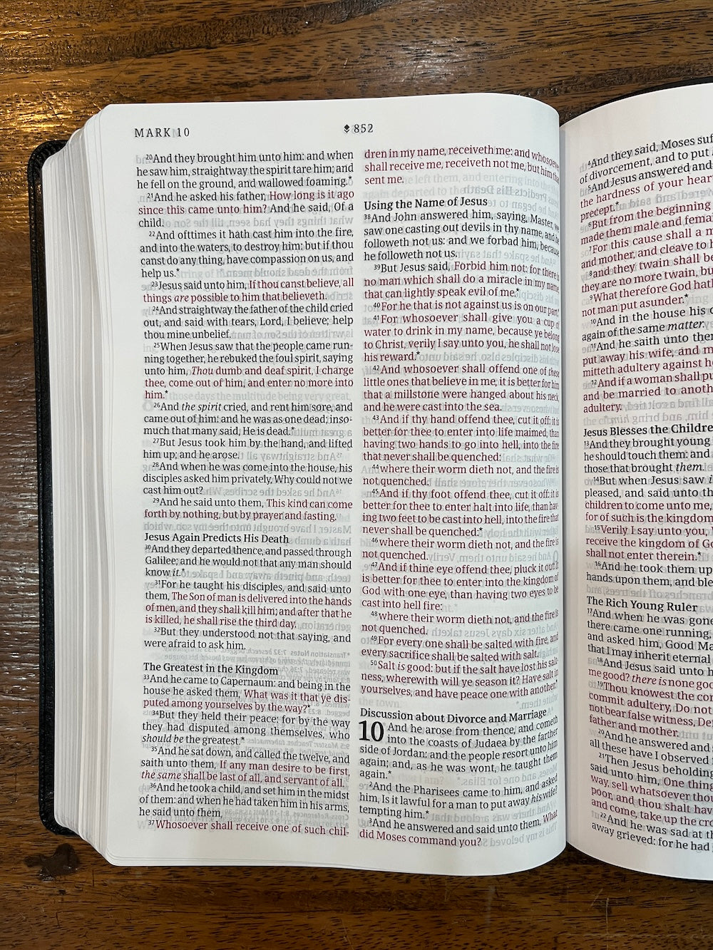KJV Large-Print Thinline Reference Bible, Filament Enabled Edition--soft leather-look, black/onyx