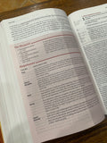 NIV Life Application Large-Print Study Bible, Third Edition Red Letter