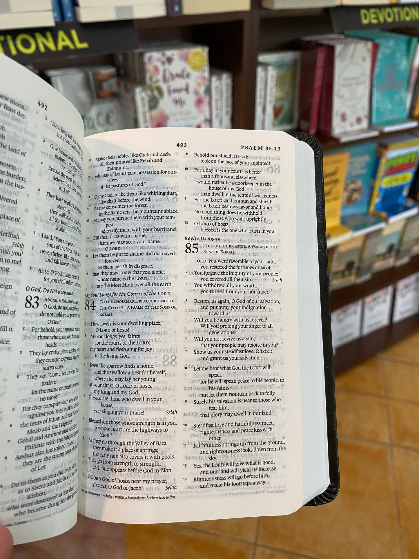 ESV Value Compact Bible (TruTone, Olive, Celtic Cross Design)