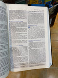 NIV Storyline Bible (Hardcover)