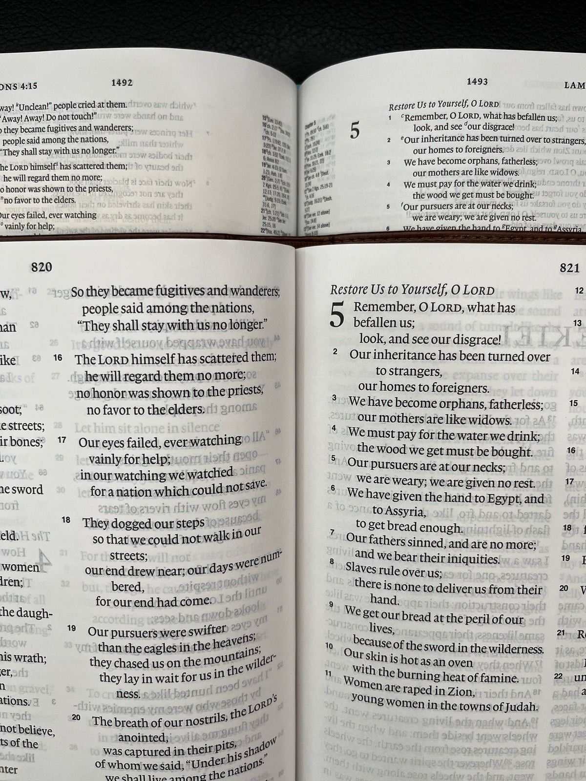 ESV Large Print Bible (TruTone, Deep Brown)