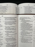 ESV Large Print Bible (TruTone, Deep Brown)