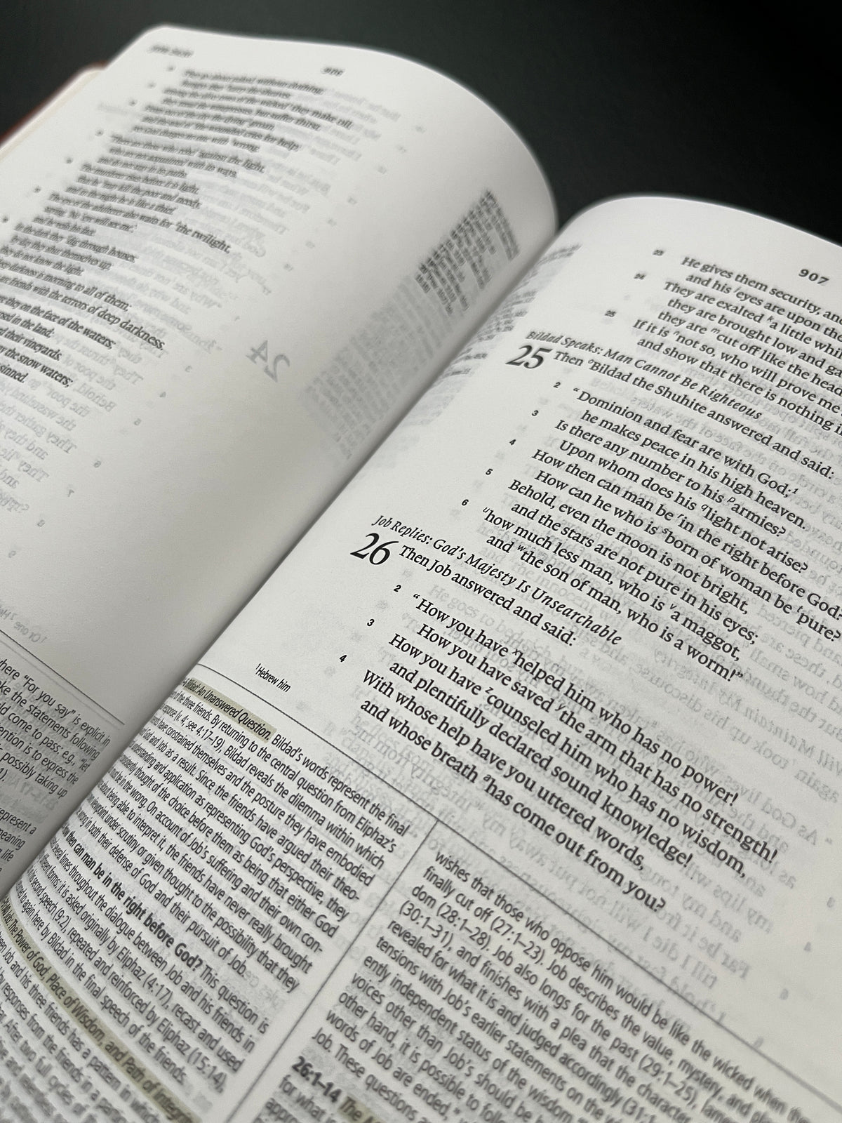ESV Study Bible, Personal Size (TruTone, Saddle, Ornament Design)