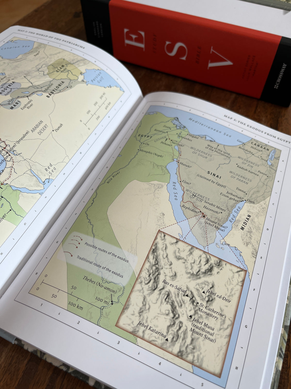 ESV Study Bible, Artist Series (Cloth over Board, Lulie Wallace, Martha)