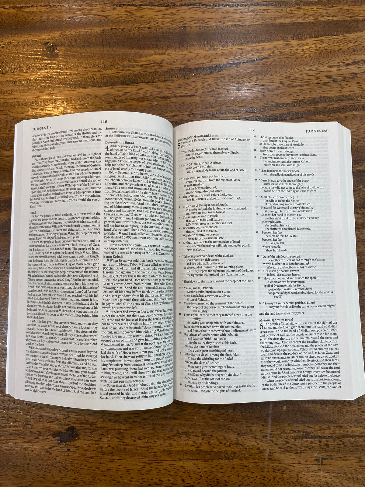 ESV Economy Bible (Paperback)