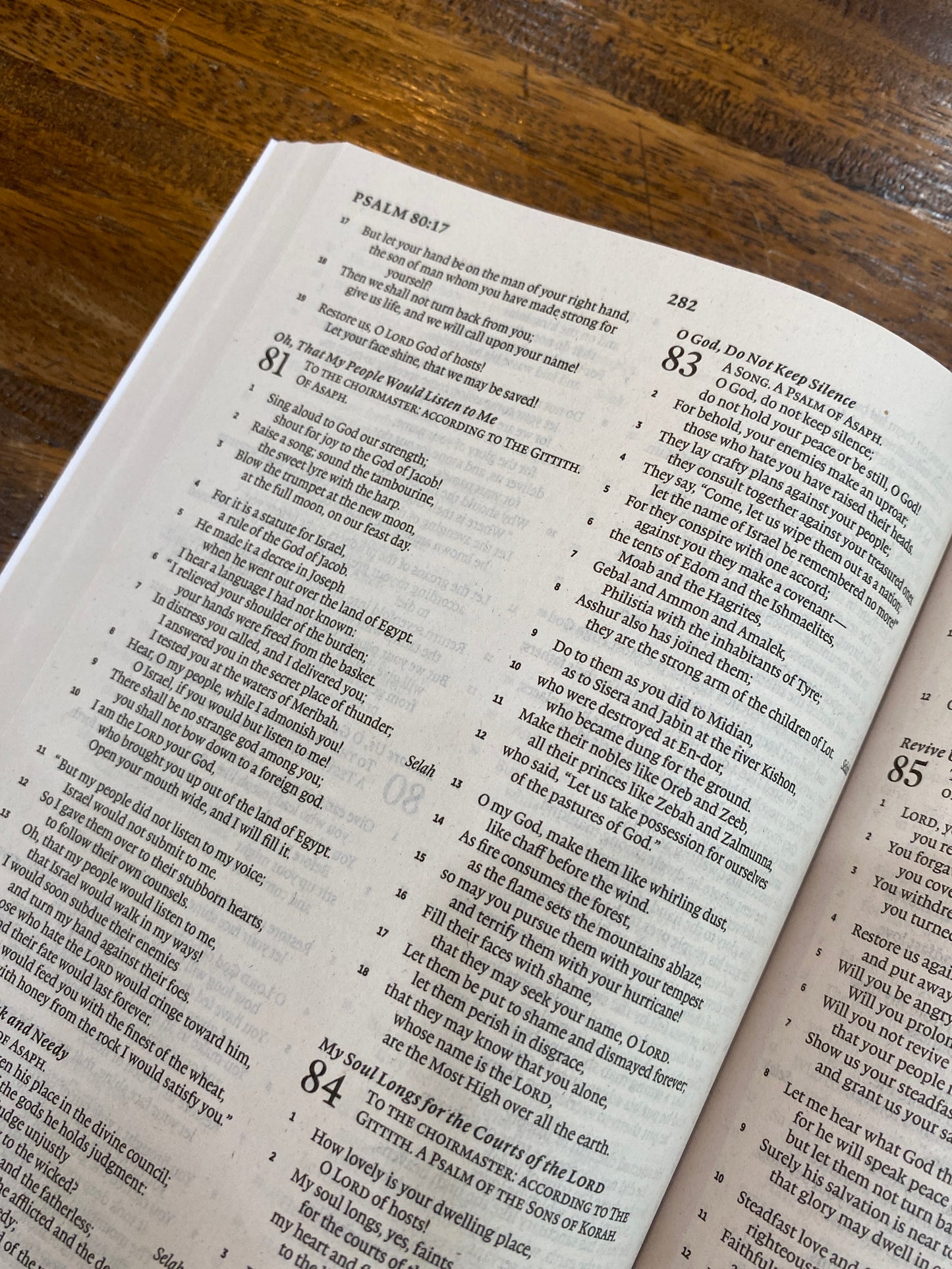 ESV Economy Bible (Paperback)