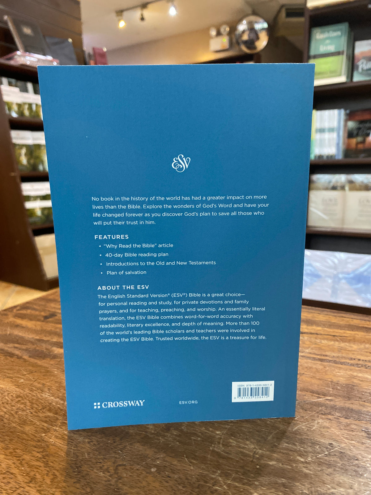 ESV Economy Bible Large Print (Paperback)
