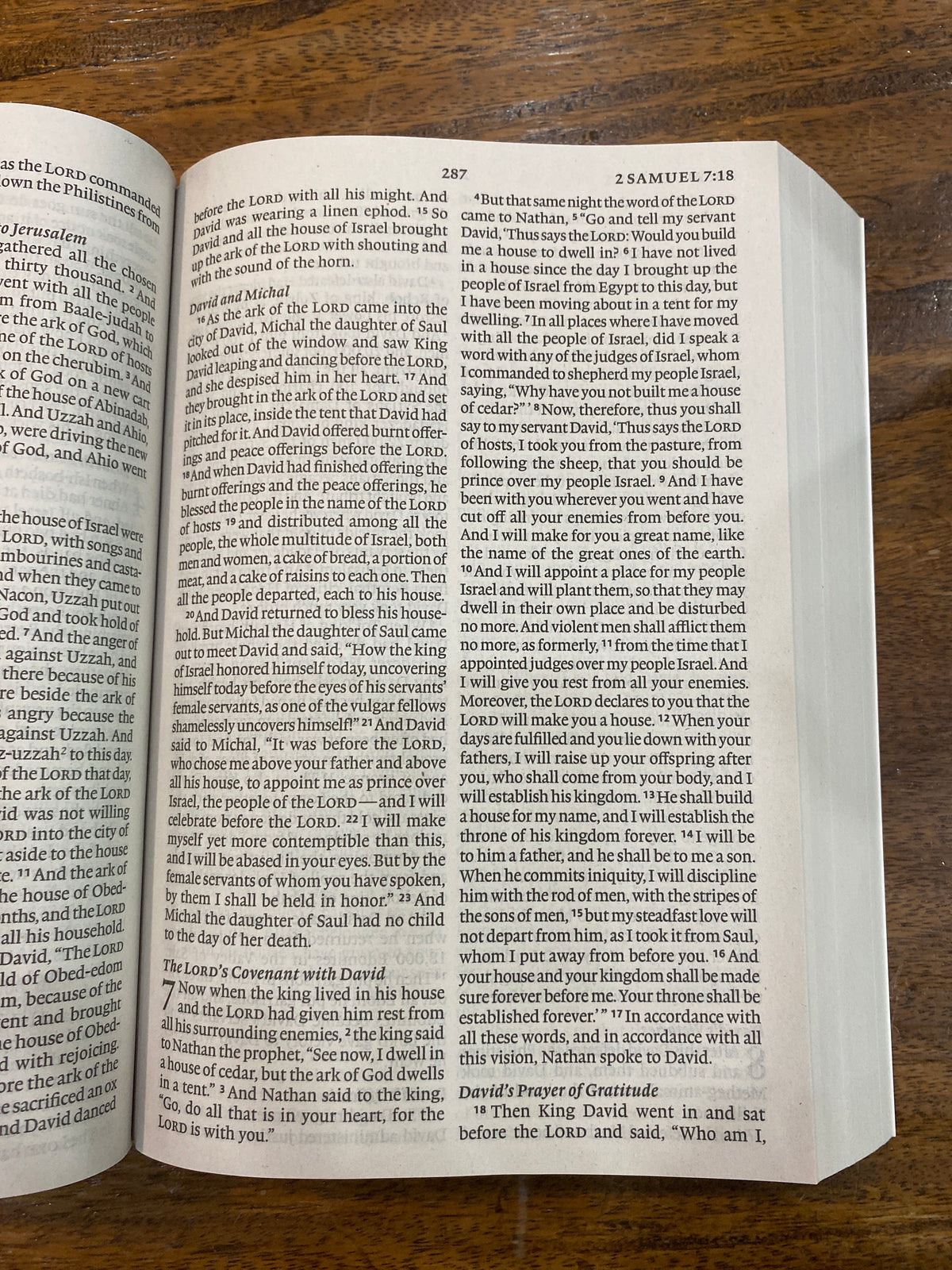 ESV Economy Bible Large Print (Paperback)