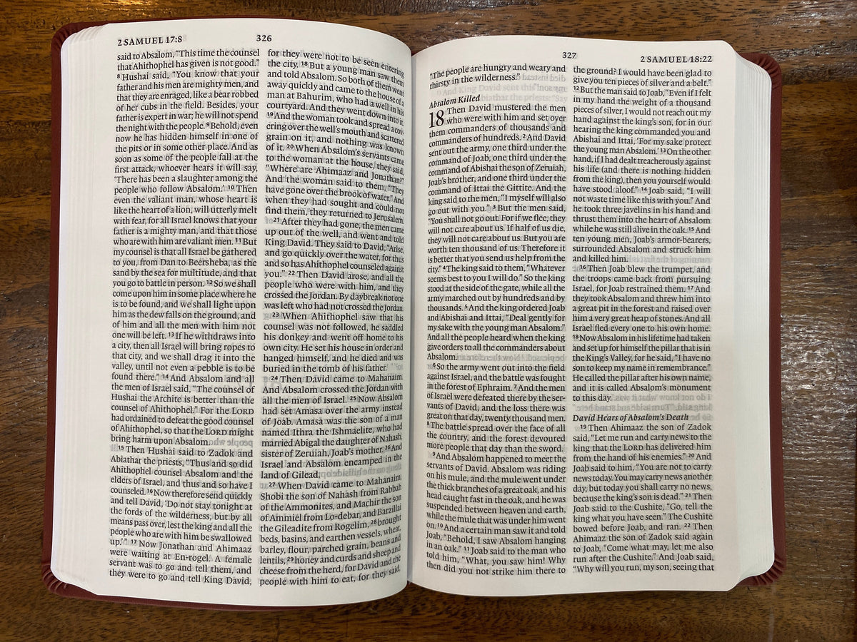 ESV Large Print Value Thinline Bible (TruTone, Chestnut), Leather, imitation, Brown