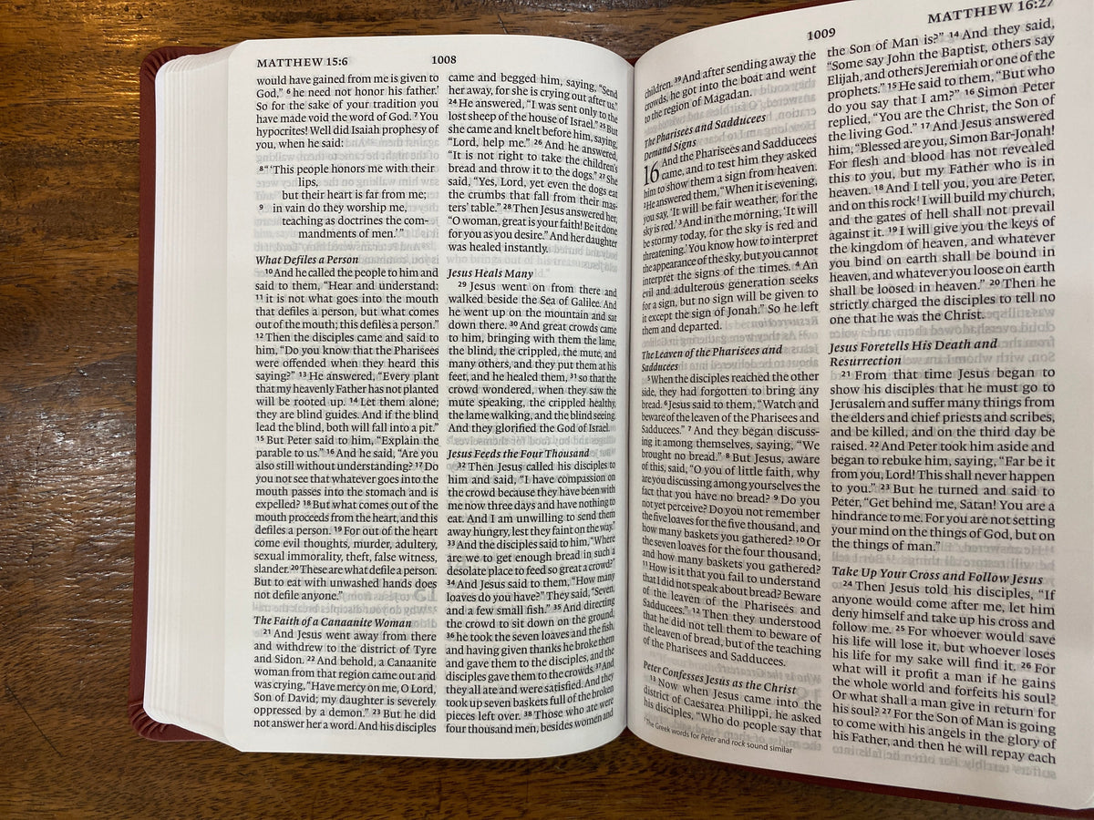 ESV Large Print Value Thinline Bible (TruTone, Chestnut), Leather, imitation, Brown