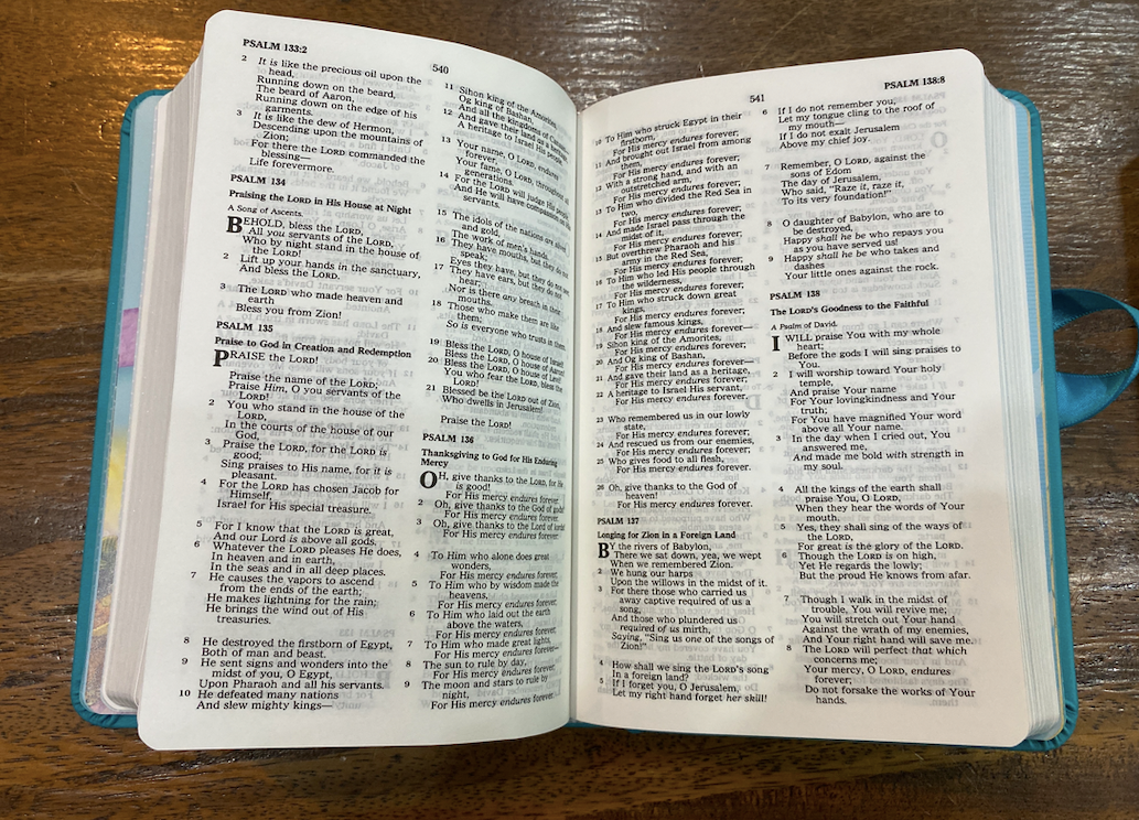 NKJV Simply Charming Bible (Hardcover, Blue Edition)