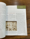 The Illustrated Handbook of the Bible