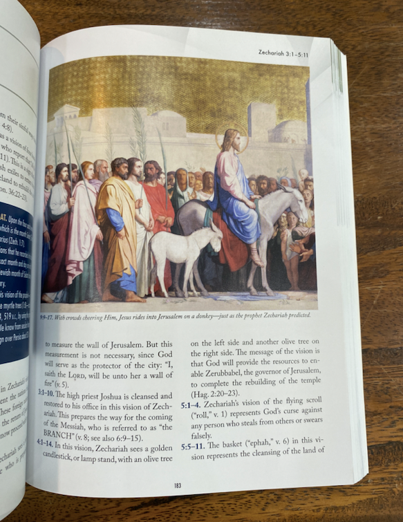 The Illustrated Handbook of the Bible