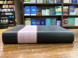 NLT Holy Bible, Giant Print TuTone Imitation Leather, pink/brown