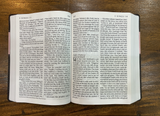 NLT Holy Bible, Giant Print TuTone Imitation Leather, pink/brown