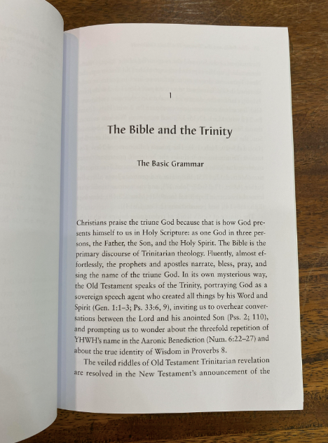 The Trinity: An Introduction (Short Studies in Systematic Theology)