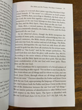 The Trinity: An Introduction (Short Studies in Systematic Theology)