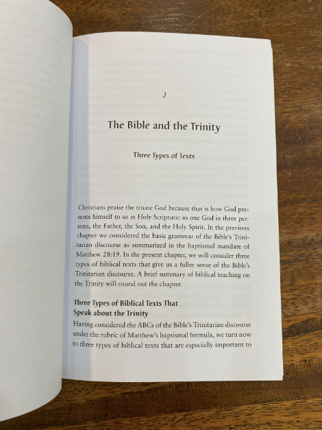 The Trinity: An Introduction (Short Studies in Systematic Theology)