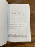 The Trinity: An Introduction (Short Studies in Systematic Theology)